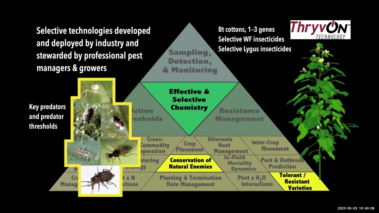 Using and getting the most out of your IPM program with ThryvOn cotton
