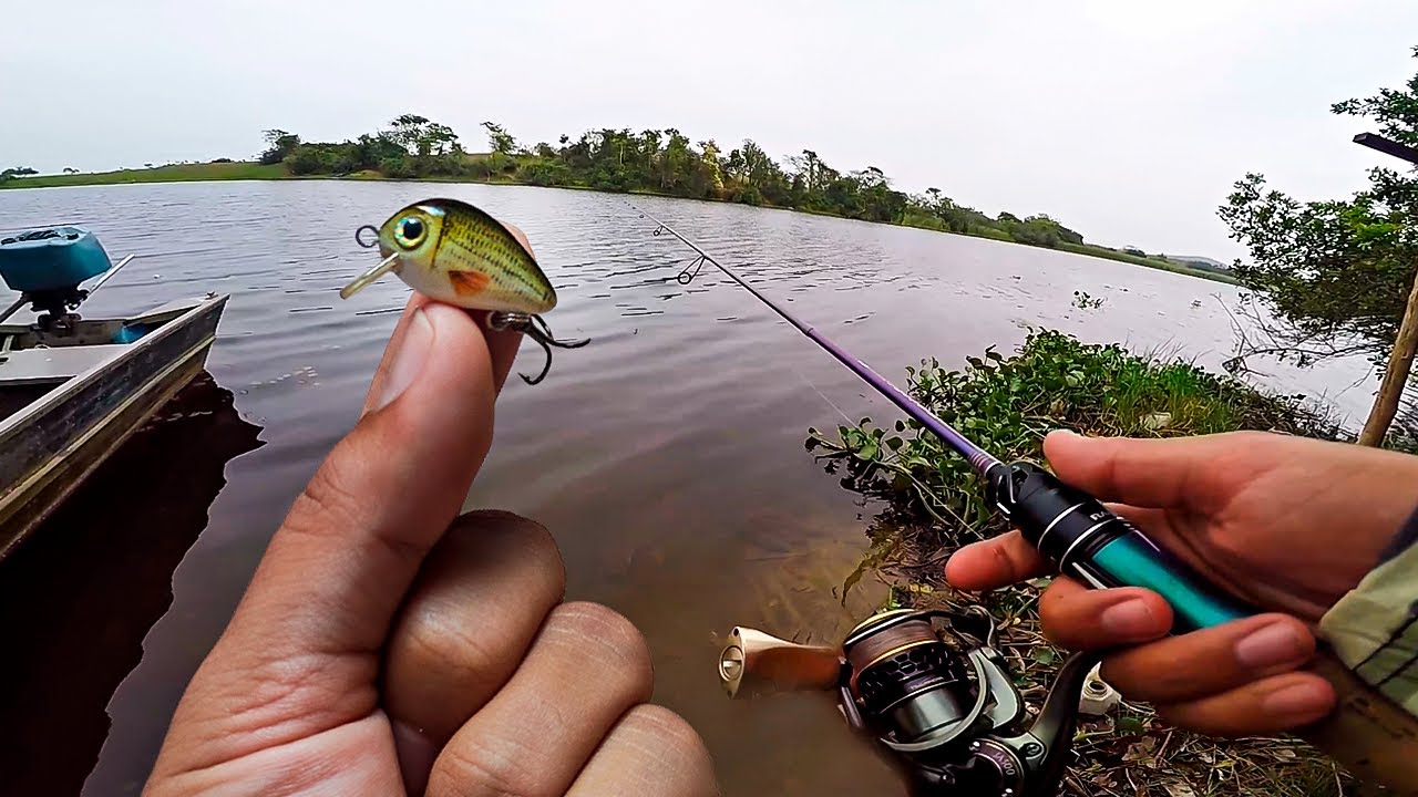 PEQUENA POR FORA E BRABA NA ÁGUA! A MENOR MINI CRANK... Pescaria Ultralight