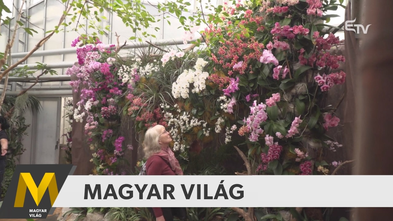 Magyar Világ: színházi bemutató, főhajtás a hősök előtt, tavaszi virágültetés