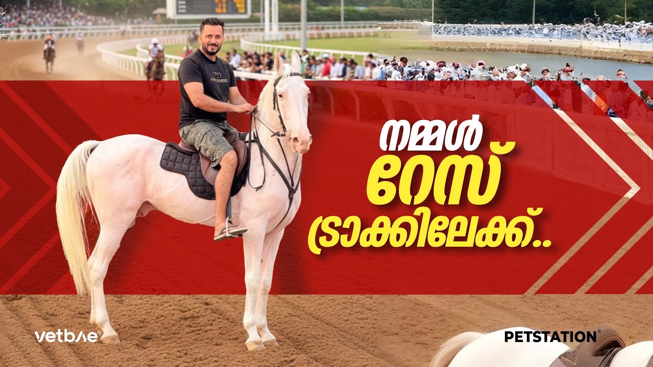 നമ്മുടെ കുതിര ഓട്ടമത്സരത്തിന് ഇറങ്ങുന്നു… എന്താവോ എന്തോ…. Bonny going to racetrack 