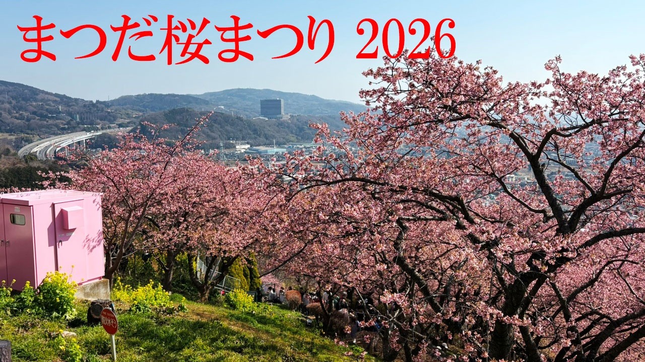 まつだ桜まつり2026