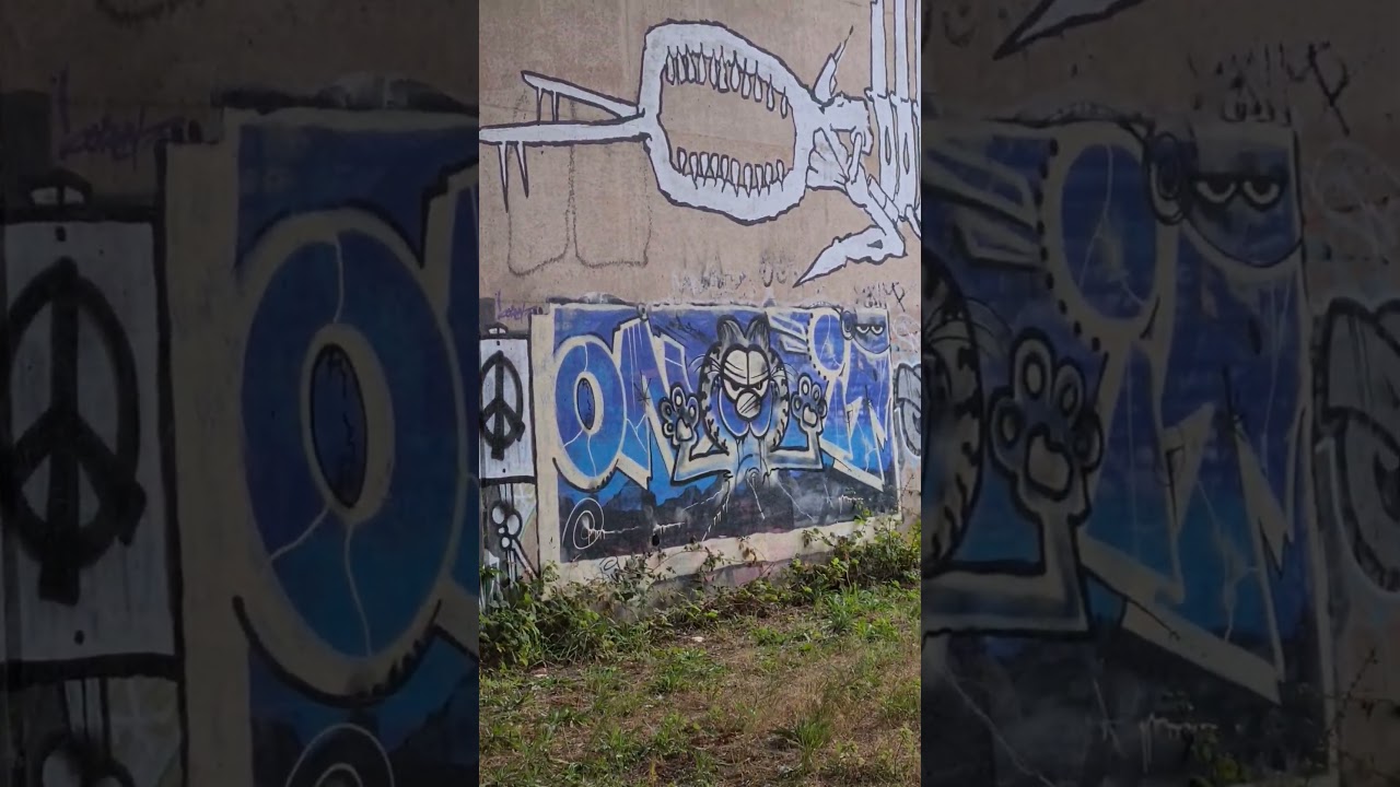 Graffiti Walls   #shorts #graffiti #spraypaintart #wallart  #graffitiwall