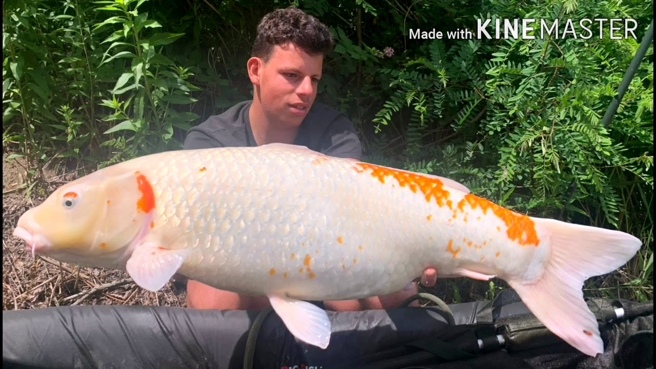AQVATIKA LAKE! CARP RUN! SWIM 8