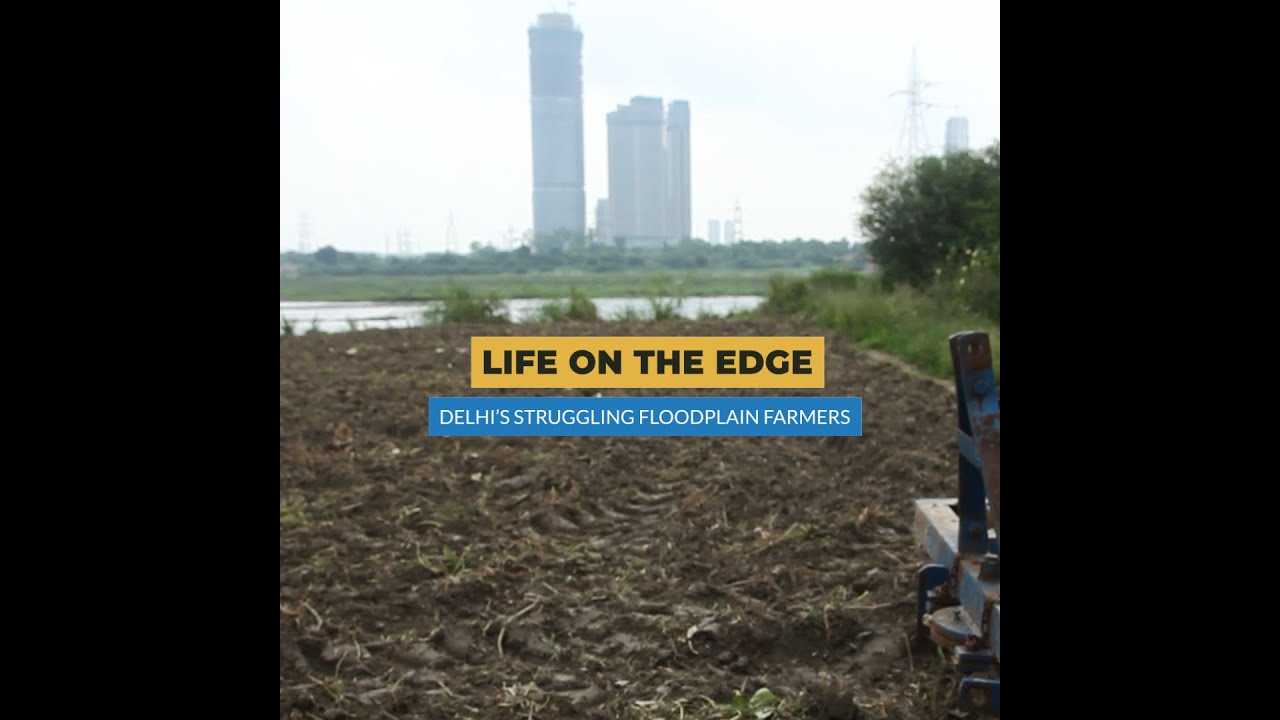 Life On The Edge: Delhi&rsquo;s Struggling Floodplain Farmers | Article 14