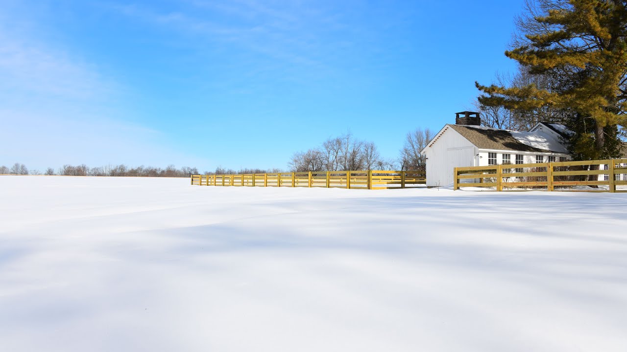 Winter Days on the Farm 