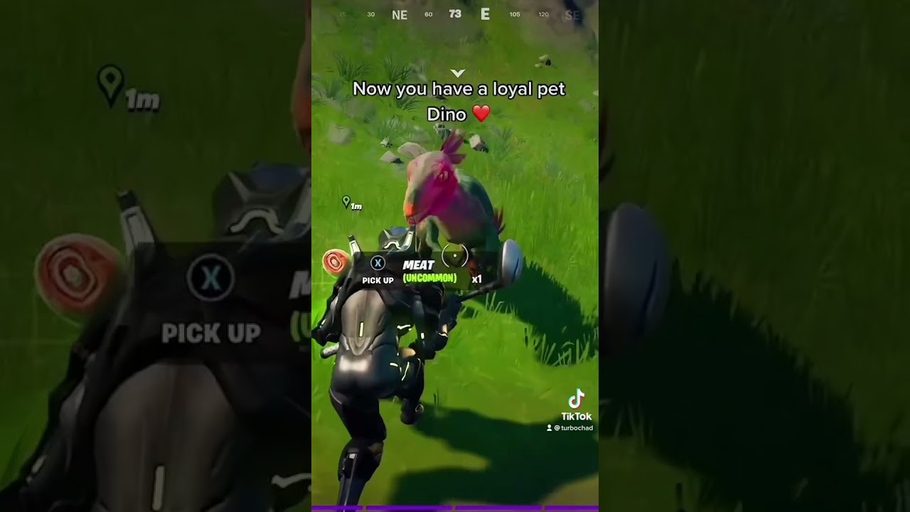 How to Tame a Raptor in Fortnite