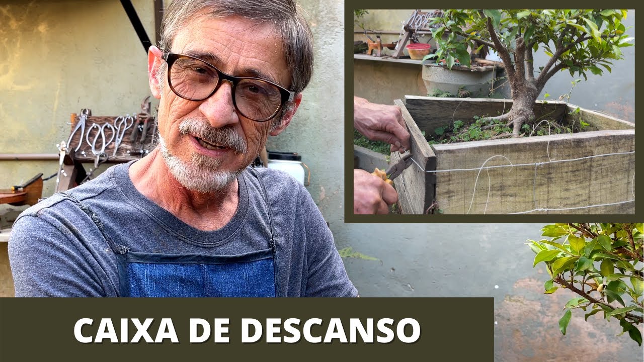 CAIXA DE DESCANSO - BONSAI