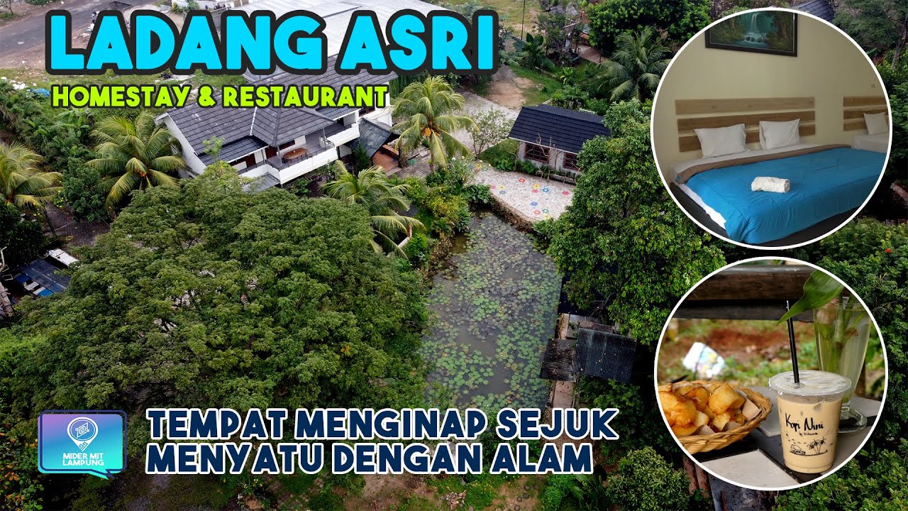 Ladang Asri: Staycation dan Hangout dengan Suasana Asri Perkampungan di Pinggir Kota | Lampung Geh