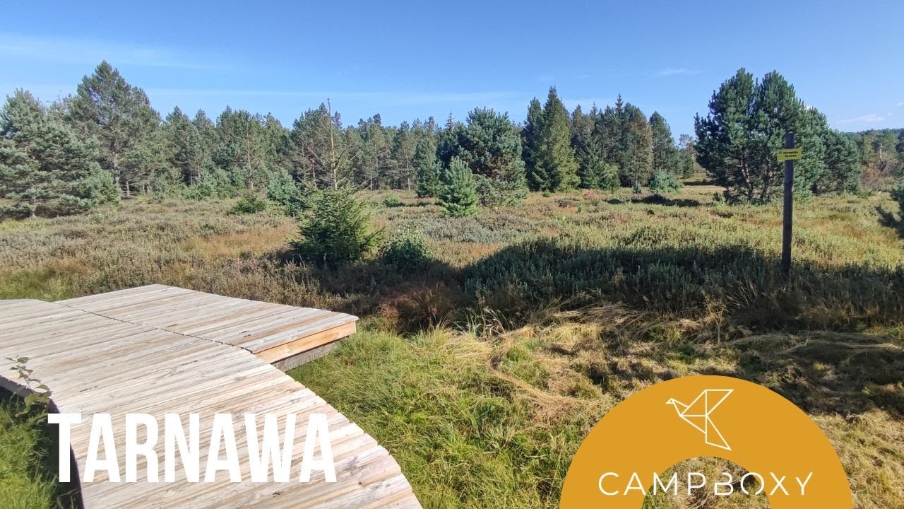 Torfowisko TARNAWA - Bieszczady