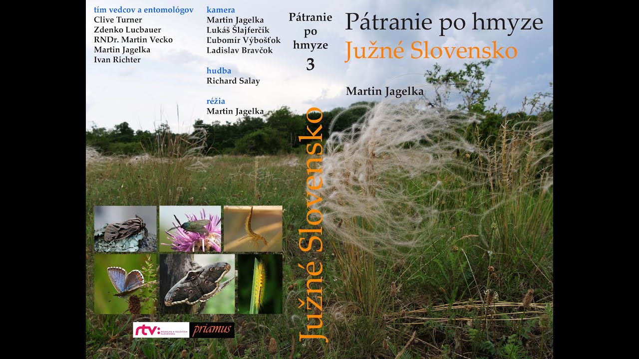 Pátranie po hmyze - Južné Slovensko