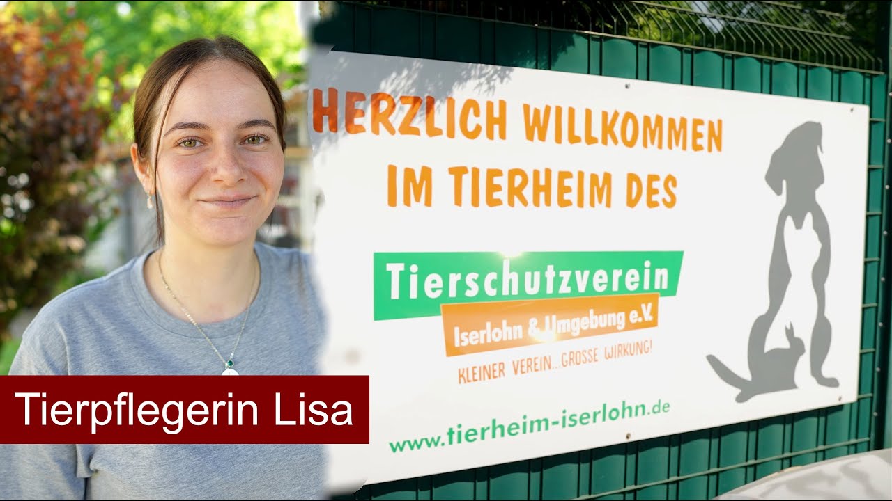 Ein Tag im Tierheim Iserlohn: zu Besuch bei Tierpflegerin Lisa