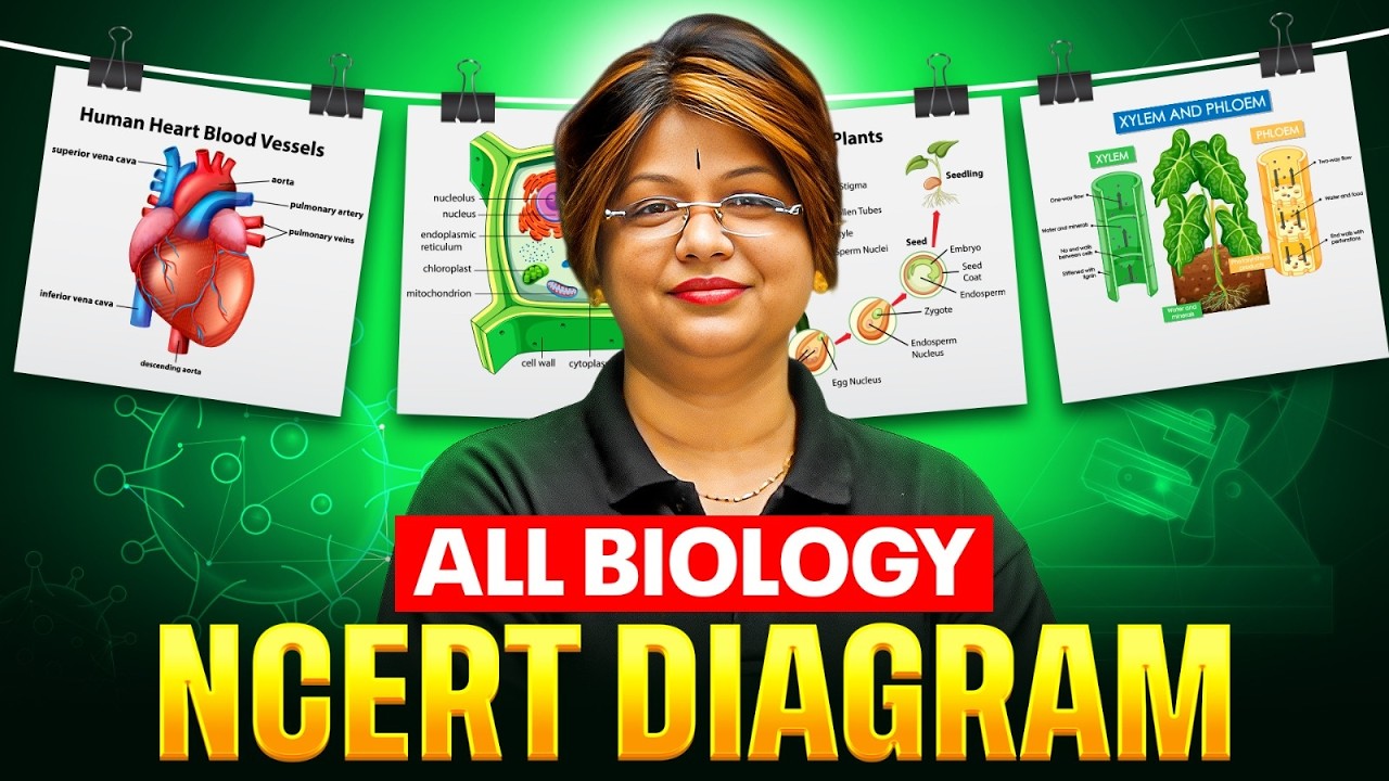Complete Biology NCERT Diagrams in One Shot🔥 | NEET 2026
