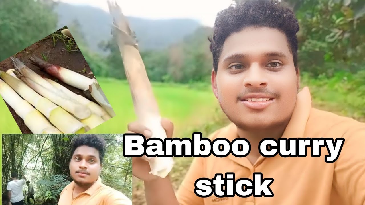 Bamboo curry stick Lane Gaye the jungle pe village vlogs 