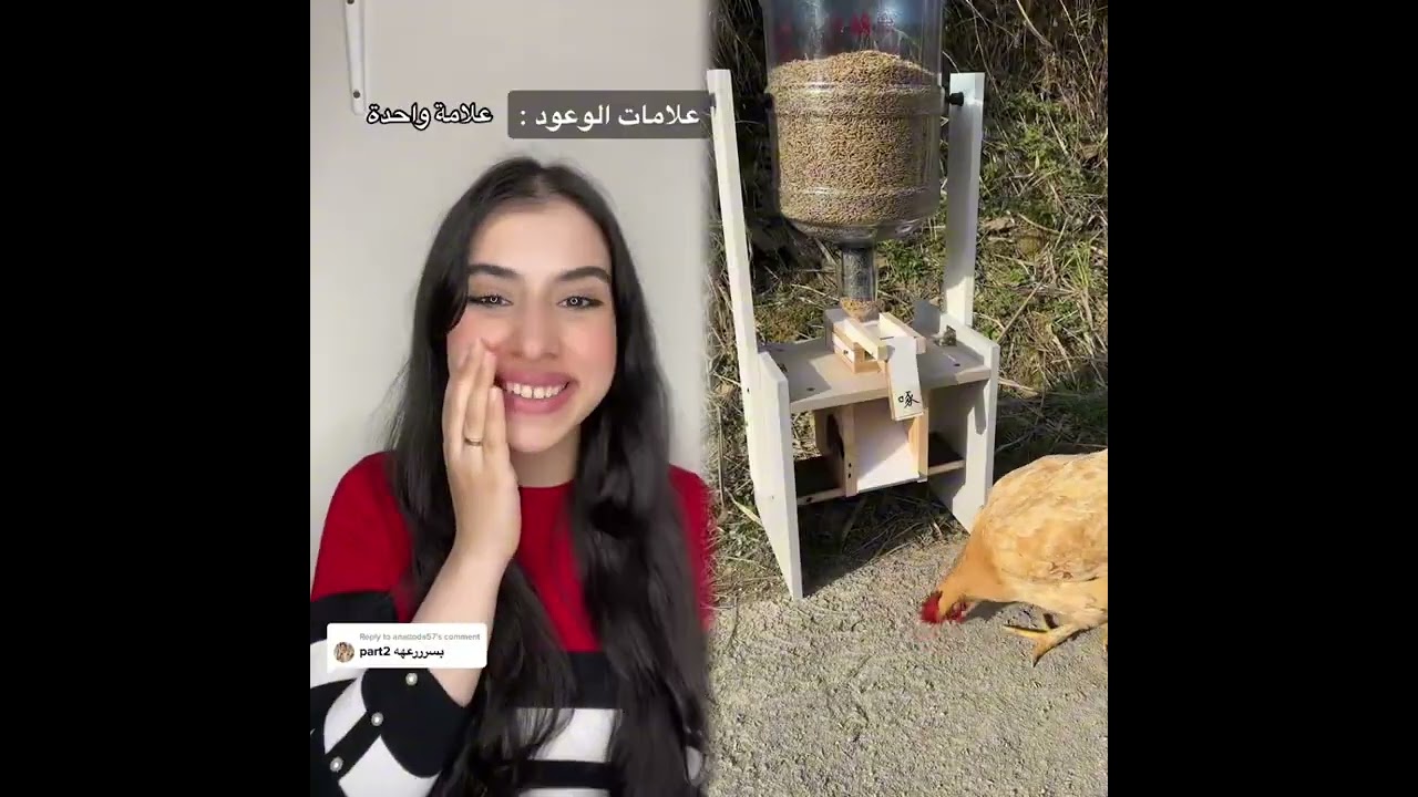 افضل واجمل 6 قصص إسراء نبيل 🔥😱 اكتشف بنفسك القصه ايه؟