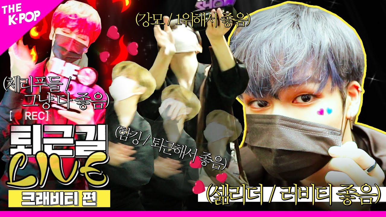 [퇴근길 LIVE] 지금이야 우리비티 퇴근할 시간! 퇴근을 자꾸 거부하는 크둥이들의 멈추지 않는 퇴근길 LIVE
