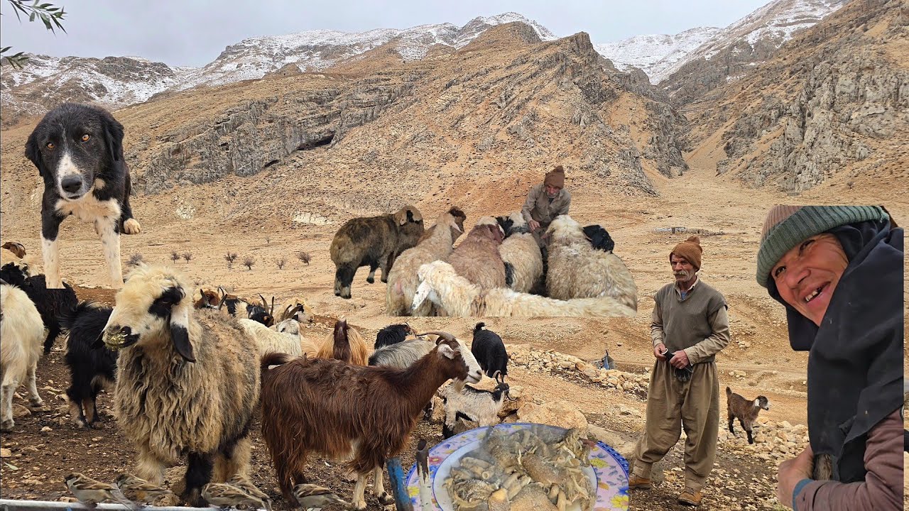🌧Nomadic Life: A Rainy Night in Nomadic Life: Challenges and Beauty in the Mountains