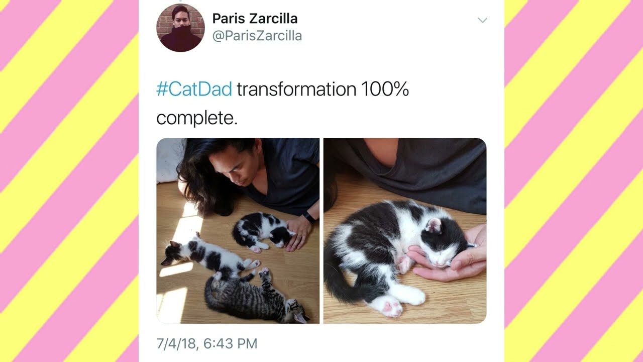 Cat Dad