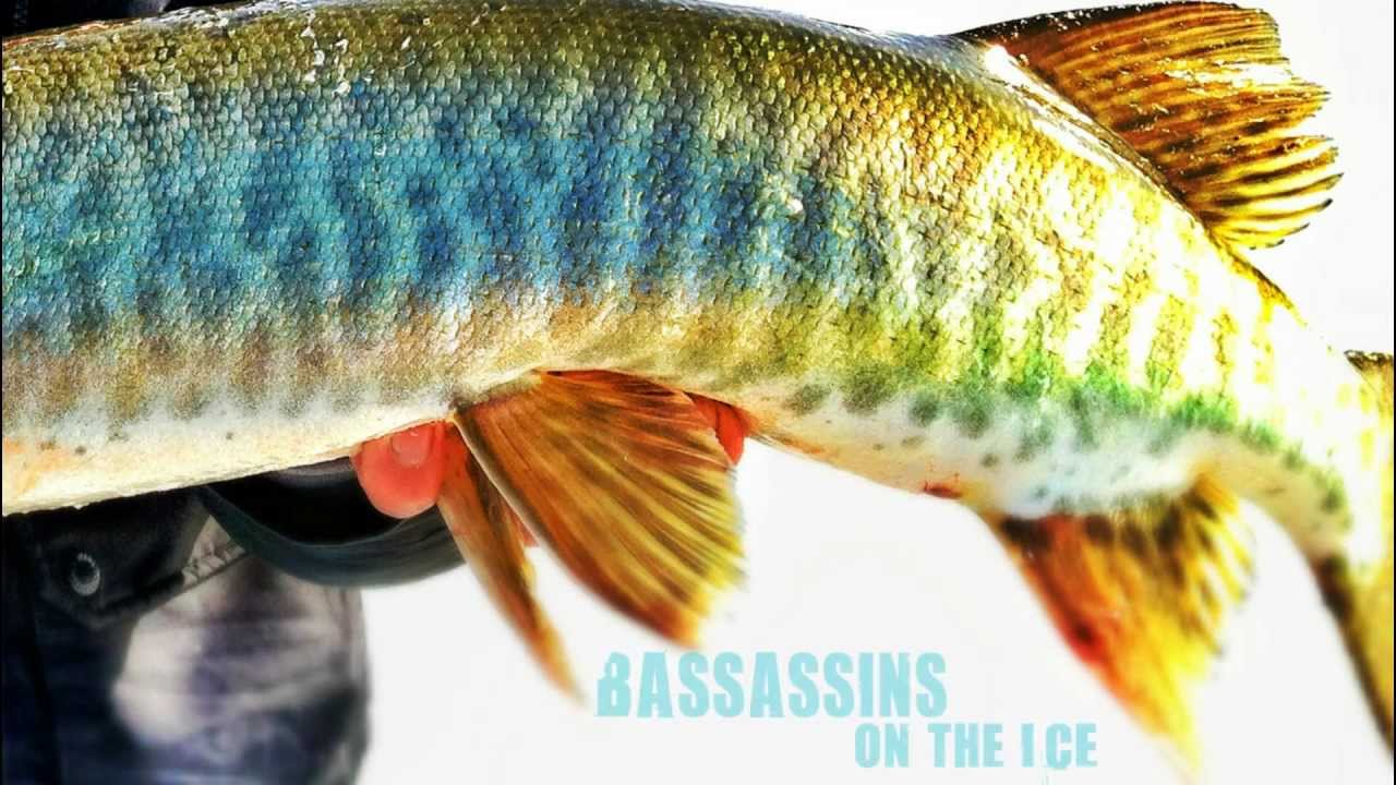 Bassassins - Set me Free - Ice Fishing - 2013