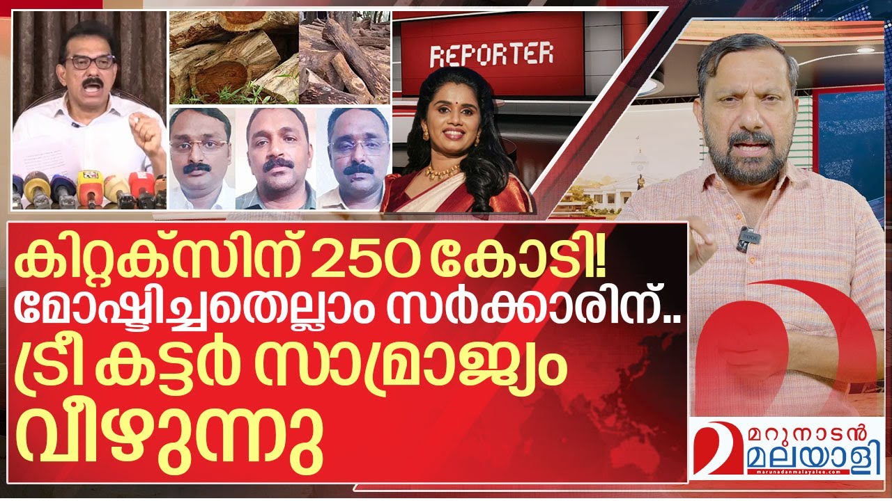 അടിമുടി പിഴച്ചു... ട്രീ കട്ടർ സാമ്രാജ്യം വീഴുന്നു I Sabu M Jacob on Reporter TV