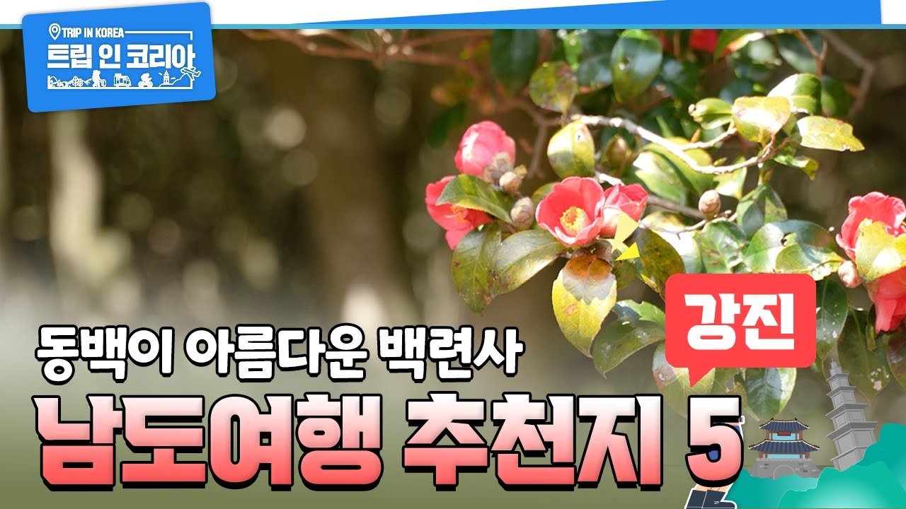 남도여행 추천지 5 - 강진 백련사 / 다산초당 / 병영마을 돌담길 / 청자빚기체험 / 마량항