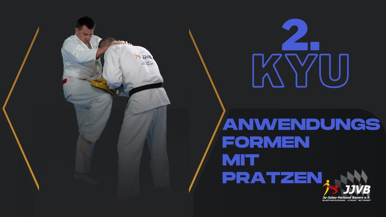 2. Kyu Anwendungsformen - Pratzen