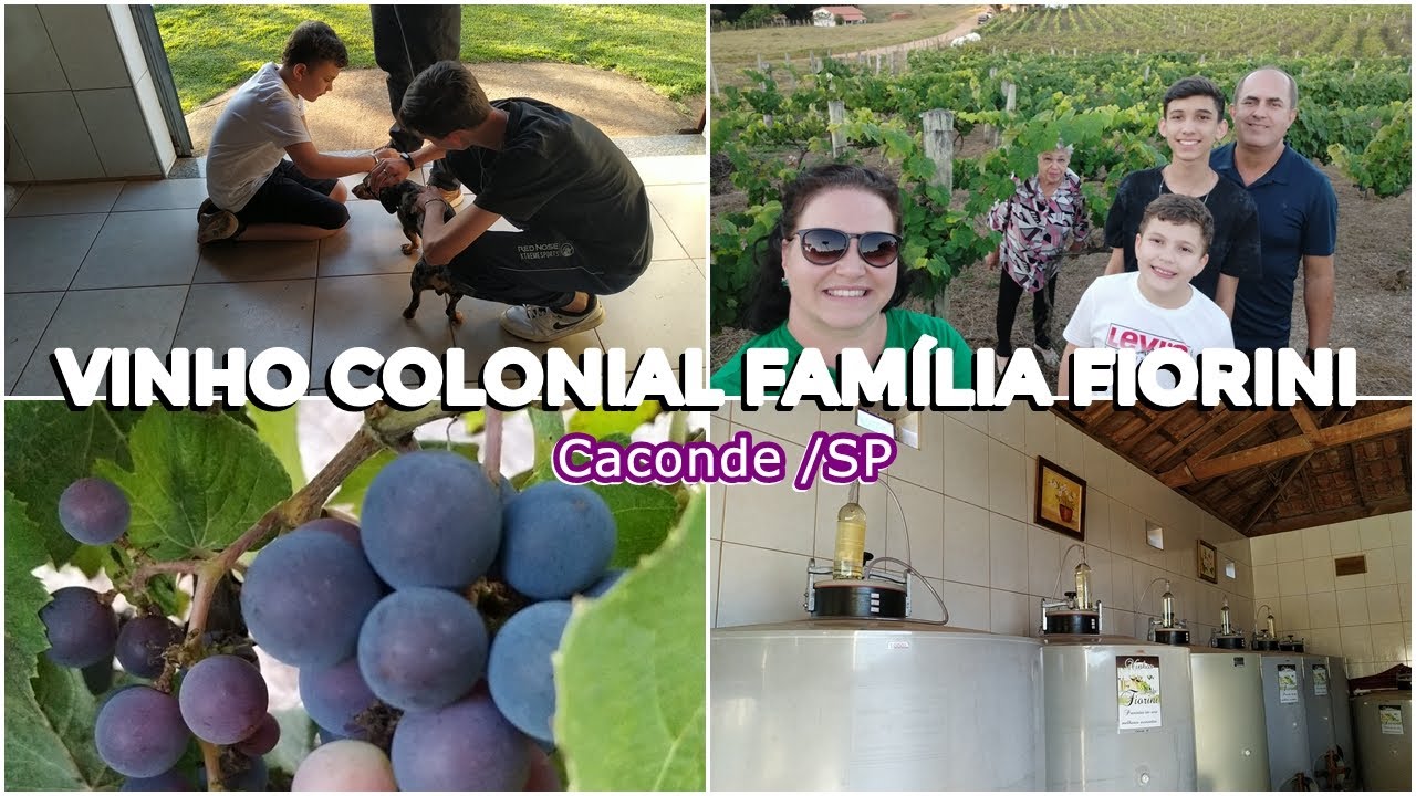 Vinho Colonial FAMÍLIA FIORINI - Caconde/SP
