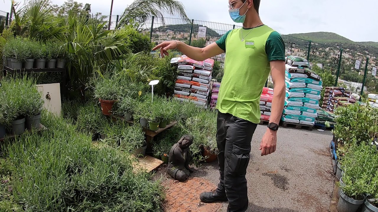 Visite Gamm vert Grasse 1/2