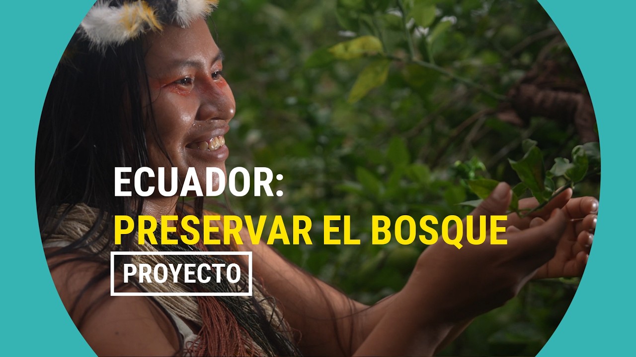 ¿Cómo protegen los Waorani y los Kichwa la riqueza de la Amazonía ecuatoriana?