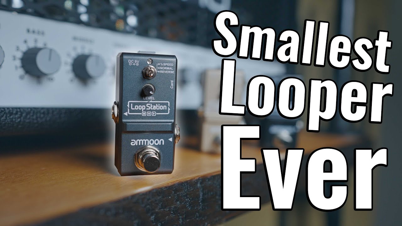 ОН ТАКОЙ МАЛЕНЬКИЙ! Нано-лупер Ammoon!