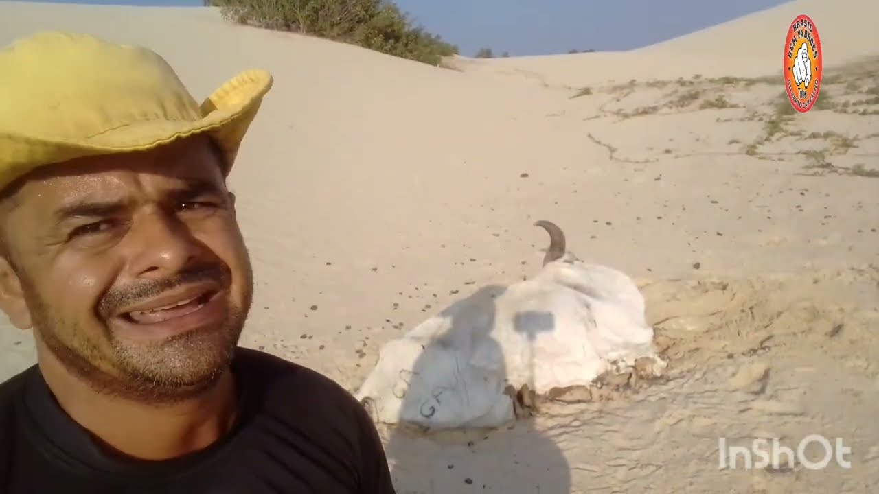COMO SALVA-SE DE AREIA MOVEDIÇA FÁCIL E RÁPIDO