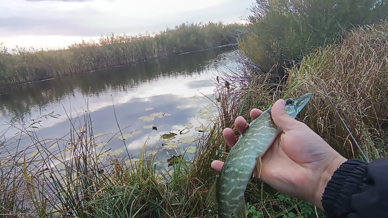 рыбалка на спиннинг с берега! река бутак, Актобе