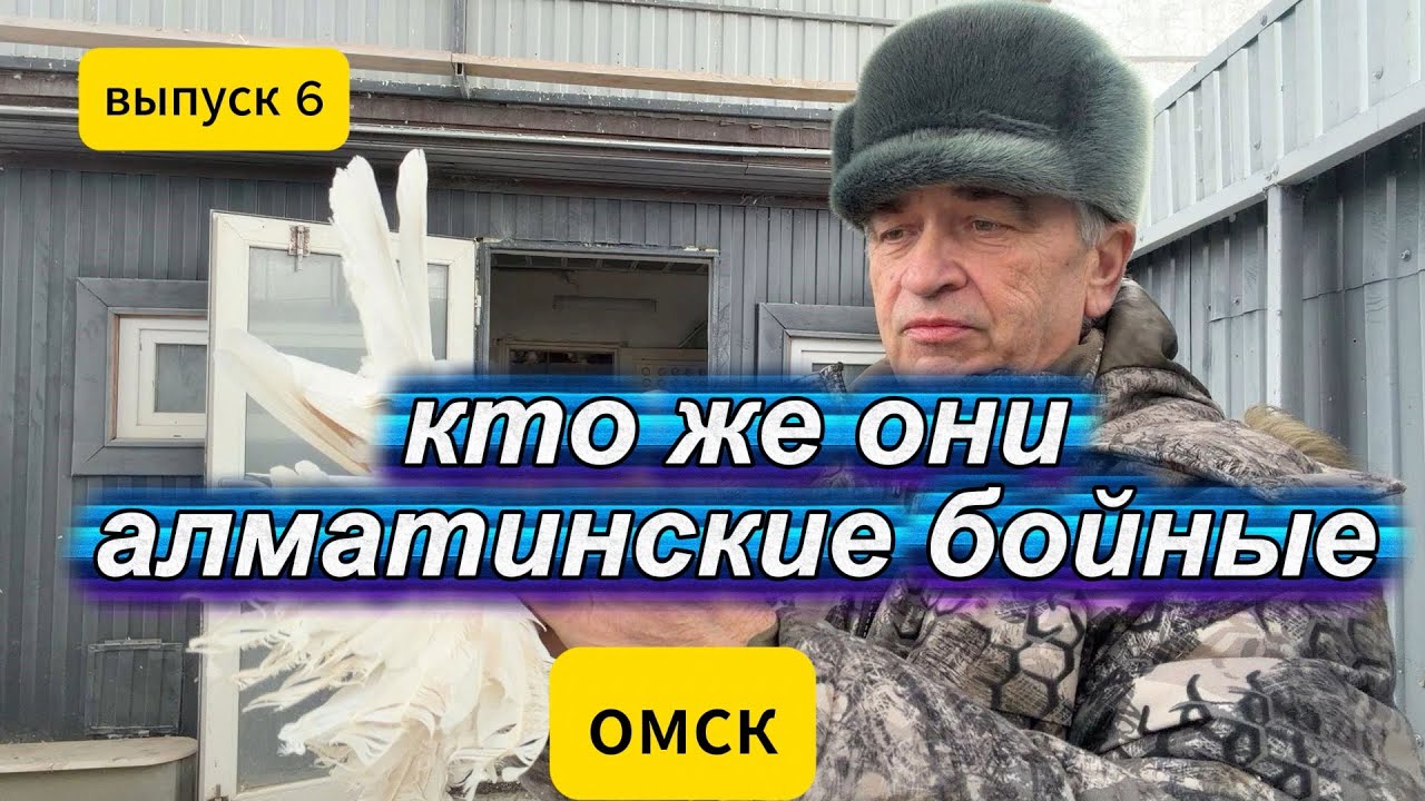 голубиная усадьба