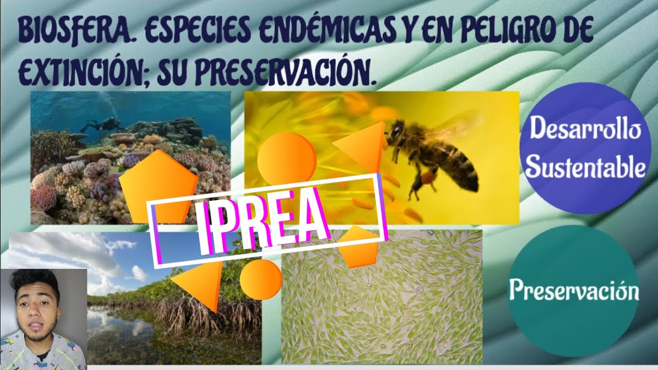 Biosfera. Especies endémicas y en peligro de extinción; su preservación.