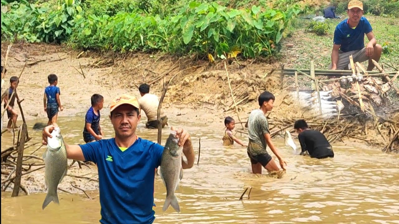 mus txhom ntses.ntses mas coob heev txhom lom zem kawg.8/3/2026