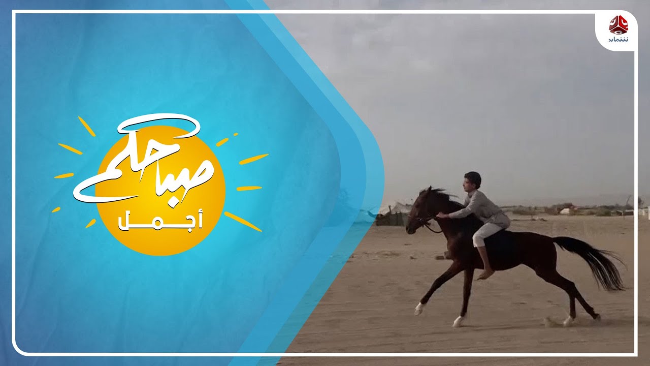 تربية الخيل .. حكاية عشق تتوارثها اسرة مأربية