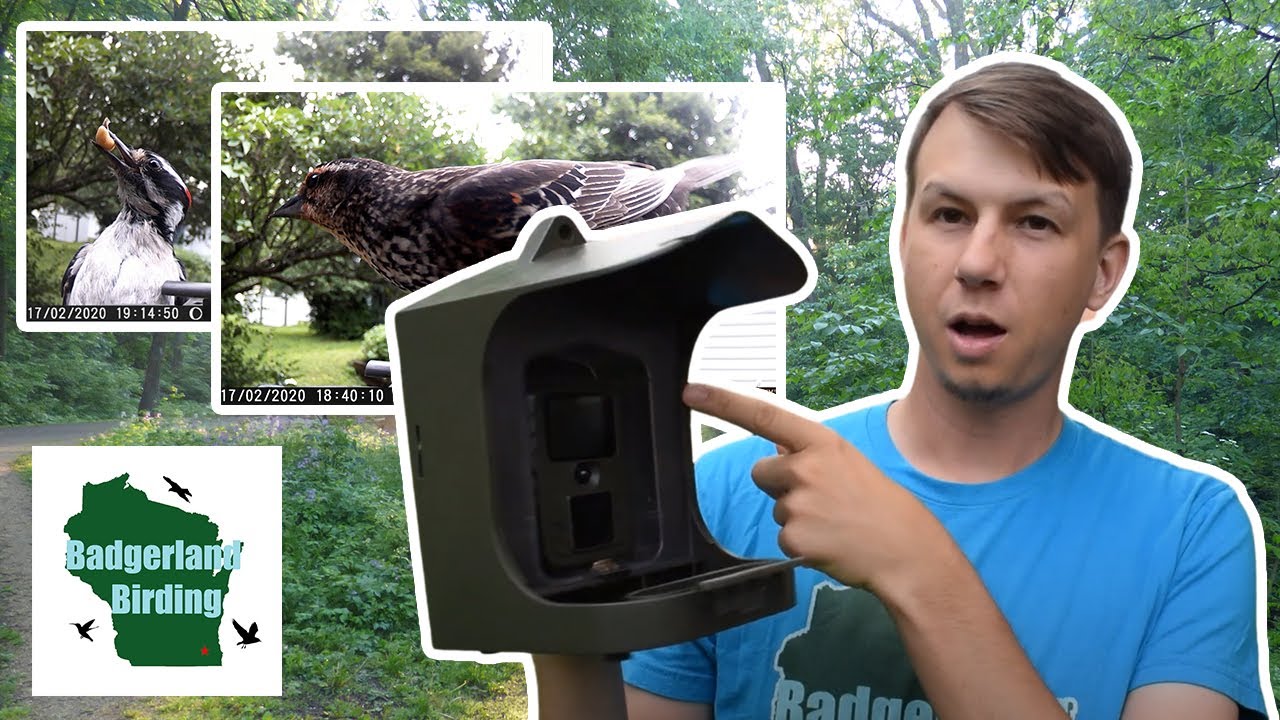 What Will This Bird Feeder Camera Capture? (Technaxx TX-165 Full HD Birdcam Review)