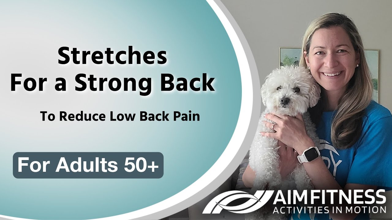 Stretches for Your Lower Back | Back Exercises | Reduce Back Pain | For Seniors & Adults 50+