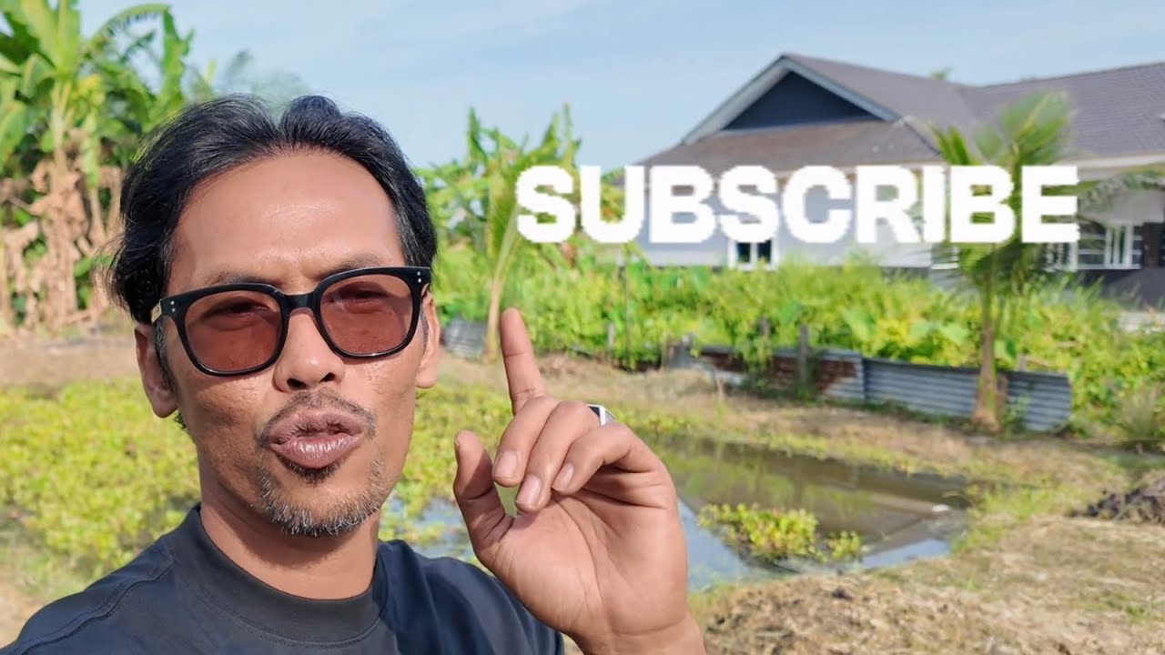 Projek Kebun Belakang Rumah Kampung #kampung 