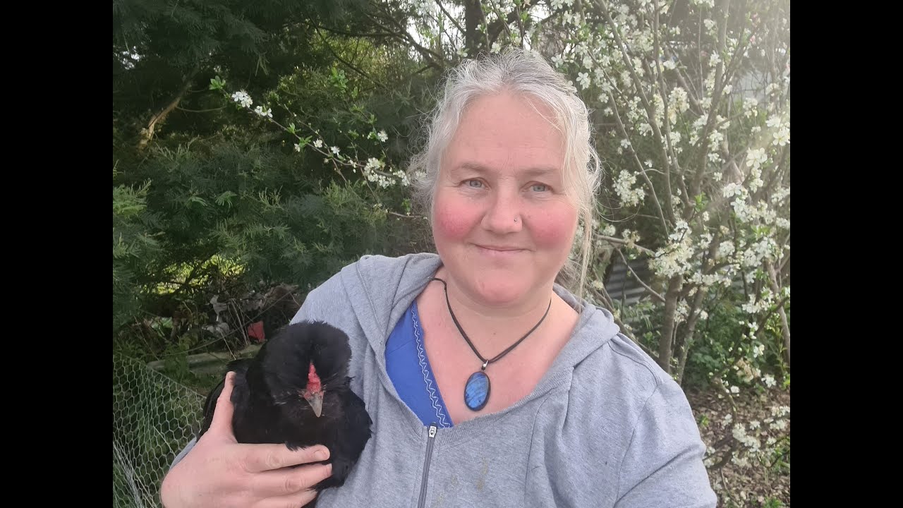 Spring busyness - planting, preparing growing areas, weeding, pruning, chicken helpers!