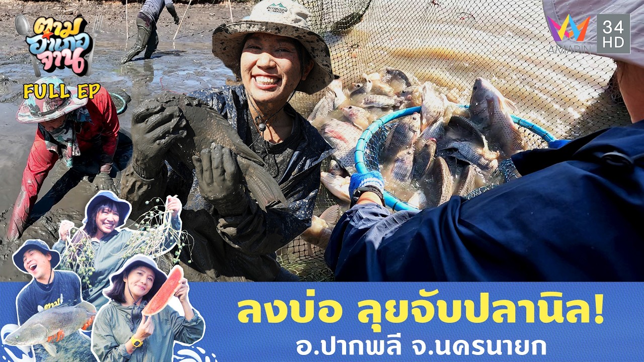 ลงบ่อ ลุยจับปลานิล! อ.ปากพลี จ.นครนายก | ตามอำเภอจาน | 17 ก.พ. 69 Full EP