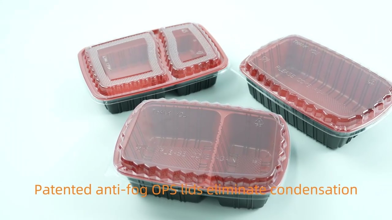 Wholesale Disposable Takeaway PP Plastic Food Tray 2 Compartments Food Containers