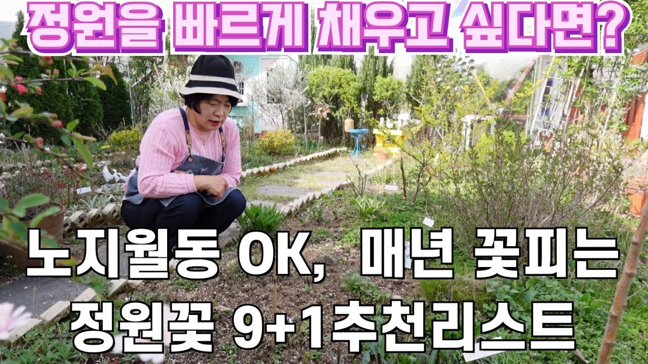 정원을 빠르게 꽃으로 채우는 비밀! 노지 월동 OK, 매년 피는 다년생 꽃 9+1 추천