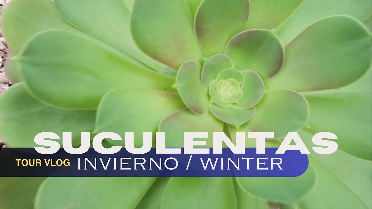 Recorrido Tour de Suculentas -  Diciembre 20,2025