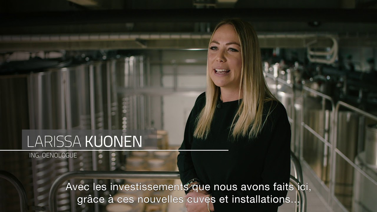 Neubau Chai Gregor Kuonen 2019 - Salgesch | Salquenen
