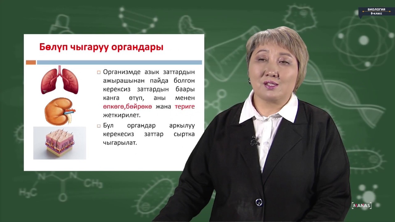 Биология - 8 класс - Тери