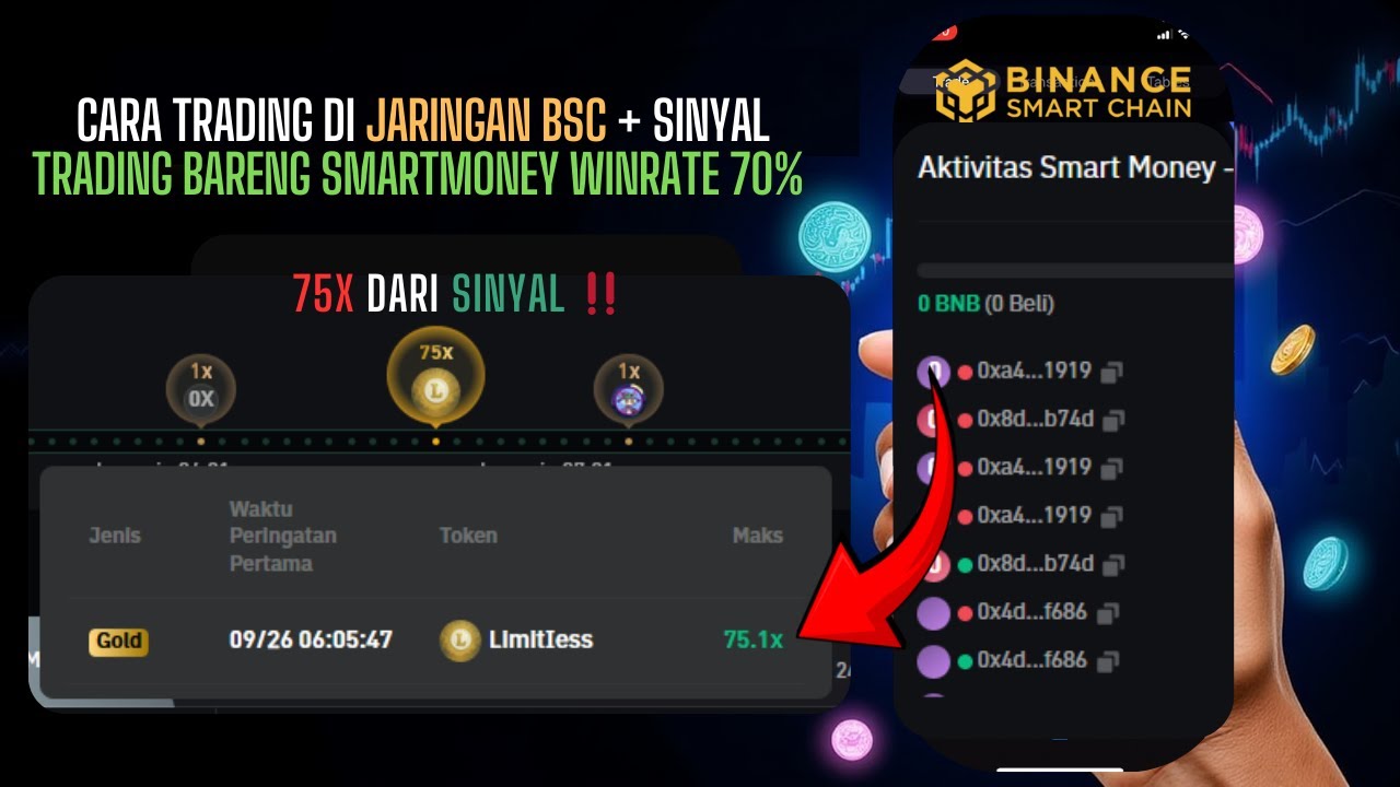Cara Trading Memecoin Di Jaringan BSC + Sinyal Trading Bareng SmartMoney Yang Winratenya 70% 🚀