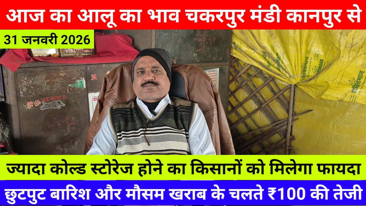 आज का आलू का भाव चकरपुर मंडी कानपुर से छुटपुट बारिश और मौसम खराब के चलते ₹100 की तेजी Aalu Ka Bhav