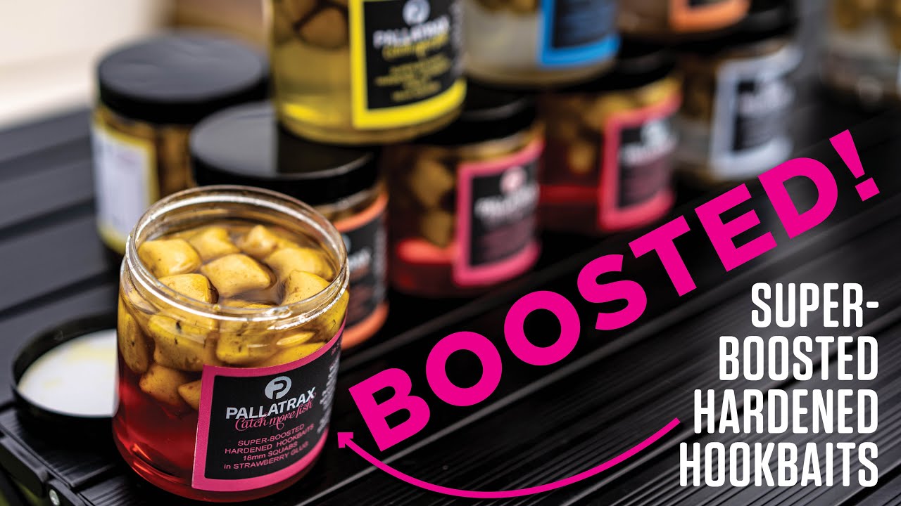 The ULTIMATE Boosted Hookbait?! | Pallatrax Pre-Drilled Hardened Boosted Hookbaits
