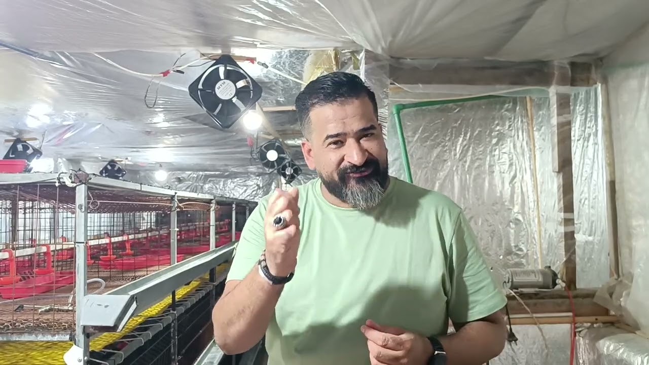 تطهير العنبر وشرح التهوية والمفاجأه داخل الفديو مع الرسام محمد نجيب 💪💪💪🌶️🌶️🌶️