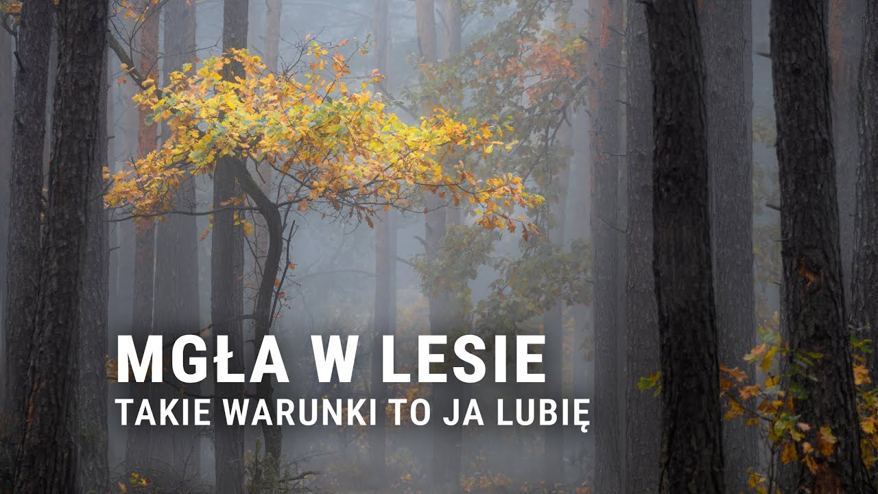 Super mgła, ale brak światła – jak sobie radzić w takiej sytuacji